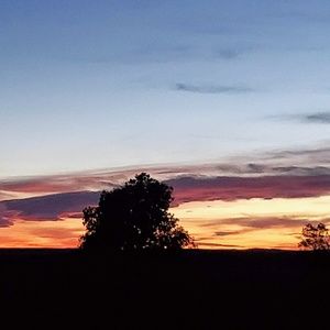 Meet your Posher, Debra